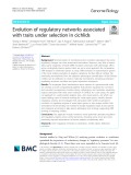 Evolution of regulatory networks associated with traits under selection in cichlids