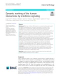 Dynamic rewiring of the human interactome by interferon signaling