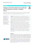 Subtype-associated epigenomic landscape and 3D genome structure in bladder cancer