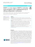 ADAR1 is a new target of METTL3 and plays a pro-oncogenic role in glioblastoma by an editing-independent mechanism