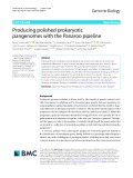 Producing polished prokaryotic pangenomes with the Panaroo pipeline