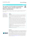 The genome of oil-Camellia and population genomics analysis provide insights into seed oil domestication