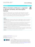 Wheat chromatin architecture is organized in genome territories and transcription factories