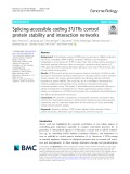 Splicing-accessible coding 3′UTRs control protein stability and interaction networks