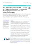 The RNA-binding protein SERBP1 functions as a novel oncogenic factor in glioblastoma by bridging cancer metabolism and epigenetic regulation
