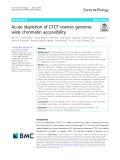Acute depletion of CTCF rewires genomewide chromatin accessibility