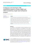 Contiguous and stochastic CHH methylation patterns of plant DRM2 and CMT2 revealed by single-read methylome analysis