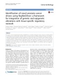 Identification of novel prostate cancer drivers using RegNetDriver: A framework for integration of genetic and epigenetic alterations with tissue-specific regulatory network