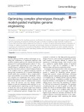 Optimizing complex phenotypes through model-guided multiplex genome engineering