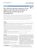 New reference genome sequences of hot pepper reveal the massive evolution of plant disease-resistance genes by retroduplication