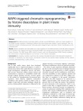 MAPK-triggered chromatin reprogramming by histone deacetylase in plant innate immunity