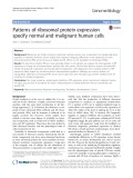 Patterns of ribosomal protein expression specify normal and malignant human cells