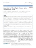 Adaptation of Arabidopsis thaliana to the Yangtze River basin