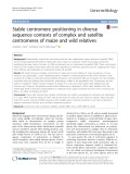Stable centromere positioning in diverse sequence contexts of complex and satellite centromeres of maize and wild relatives