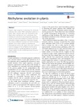 Methylome evolution in plants
