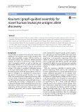 Kourami: Graph-guided assembly for novel human leukocyte antigen allele discovery