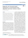 Epigenetic and chromatin-based mechanisms in environmental stress adaptation and stress memory in plants