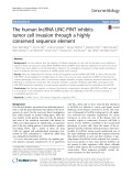 The human lncRNA LINC-PINT inhibits tumor cell invasion through a highly conserved sequence element
