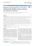 Epigenetic aging signatures in mice livers are slowed by dwarfism, calorie restriction and rapamycin treatment