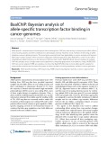 BaalChIP: Bayesian analysis of allele-specific transcription factor binding in cancer genomes