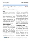 External signals shape the epigenome