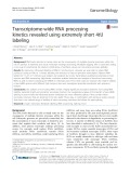 Transcriptome-wide RNA processing kinetics revealed using extremely short 4tU labeling