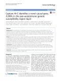 Capture Hi-C identifies a novel causal gene, IL20RA, in the pan-autoimmune genetic susceptibility region 6q23