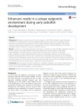 Enhancers reside in a unique epigenetic environment during early zebrafish development