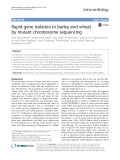 Rapid gene isolation in barley and wheat by mutant chromosome sequencing