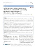 Full-length autonomous transposable elements are preferentially targeted by expression-dependent forms of RNA-directed DNA methylation