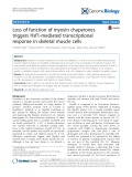 Loss of function of myosin chaperones triggers Hsf1-mediated transcriptional response in skeletal muscle cells