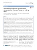 Evolutionary analysis across mammals reveals distinct classes of long non-coding RNAs