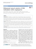 Widespread natural variation of DNA methylation within angiosperms