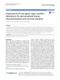 Importance of rare gene copy number alterations for personalized tumor characterization and survival analysis