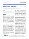 Prodigious plant methylomes