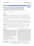 Fitness consequences of polymorphic inversions in the zebra finch genome