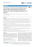 Zinc finger nuclease-based double-strand breaks attenuate malaria parasites and reveal rare microhomology-mediated end joining