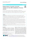 Global impact of somatic structural variation on the DNA methylome of human cancers