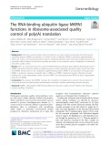 The RNA-binding ubiquitin ligase MKRN1 functions in ribosome-associated quality control of poly(A) translation
