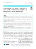 Chromosome-level genome assembly for giant panda provides novel insights into Carnivora chromosome evolution