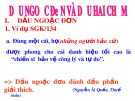 Bài giảng môn Ngữ văn lớp 8 - Bài 13: Dấu ngoặc đơn và dấu hai chấm