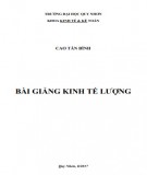 Bài giảng Kinh tế lượng: Phần 2 - Cao Tấn Bình