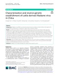 Characterization and reverse genetic establishment of cattle derived Akabane virus in China