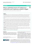 Horse: A potential source of Cryptococcus neoformans and Cryptococcus gattii in Egypt