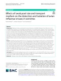 Effects of swab pool size and transport medium on the detection and isolation of avian influenza viruses in ostriches