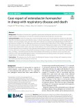 Case report of enterobacter hormaechei in sheep with respiratory disease and death