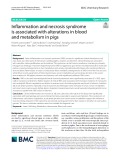 Inflammation and necrosis syndrome is associated with alterations in blood and metabolism in pigs