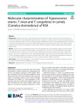 Molecular characterization of Trypanosoma evansi, T. vivax and T. congolense in camels (Camelus dromedarius) of KSA