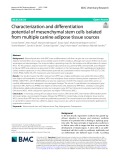 Characterization and diferentiation potential of mesenchymal stem cells isolated from multiple canine adipose tissue sources