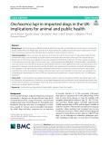 Onchocerca lupi in imported dogs in the UK: Implications for animal and public health